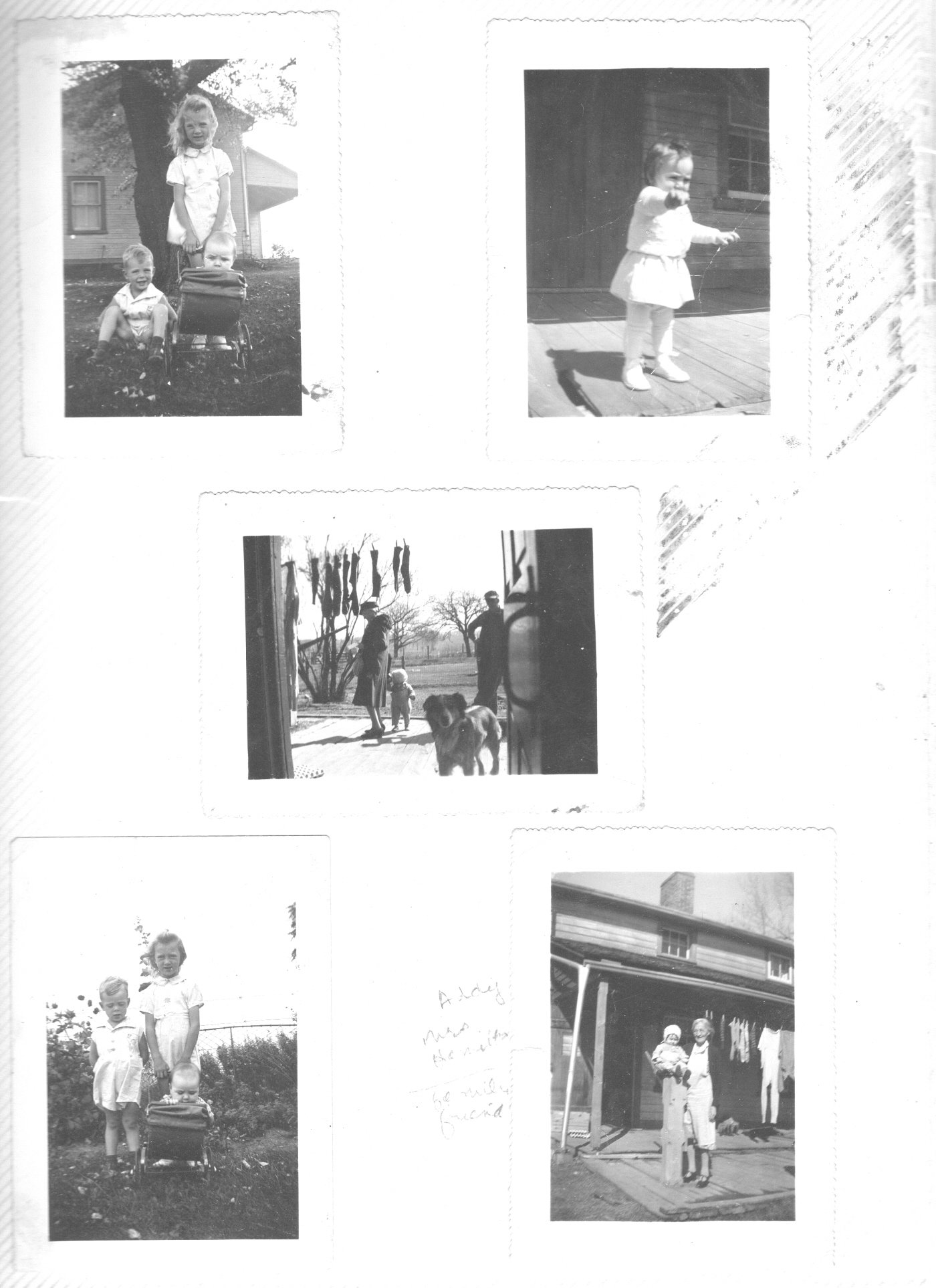 page_12.jpg