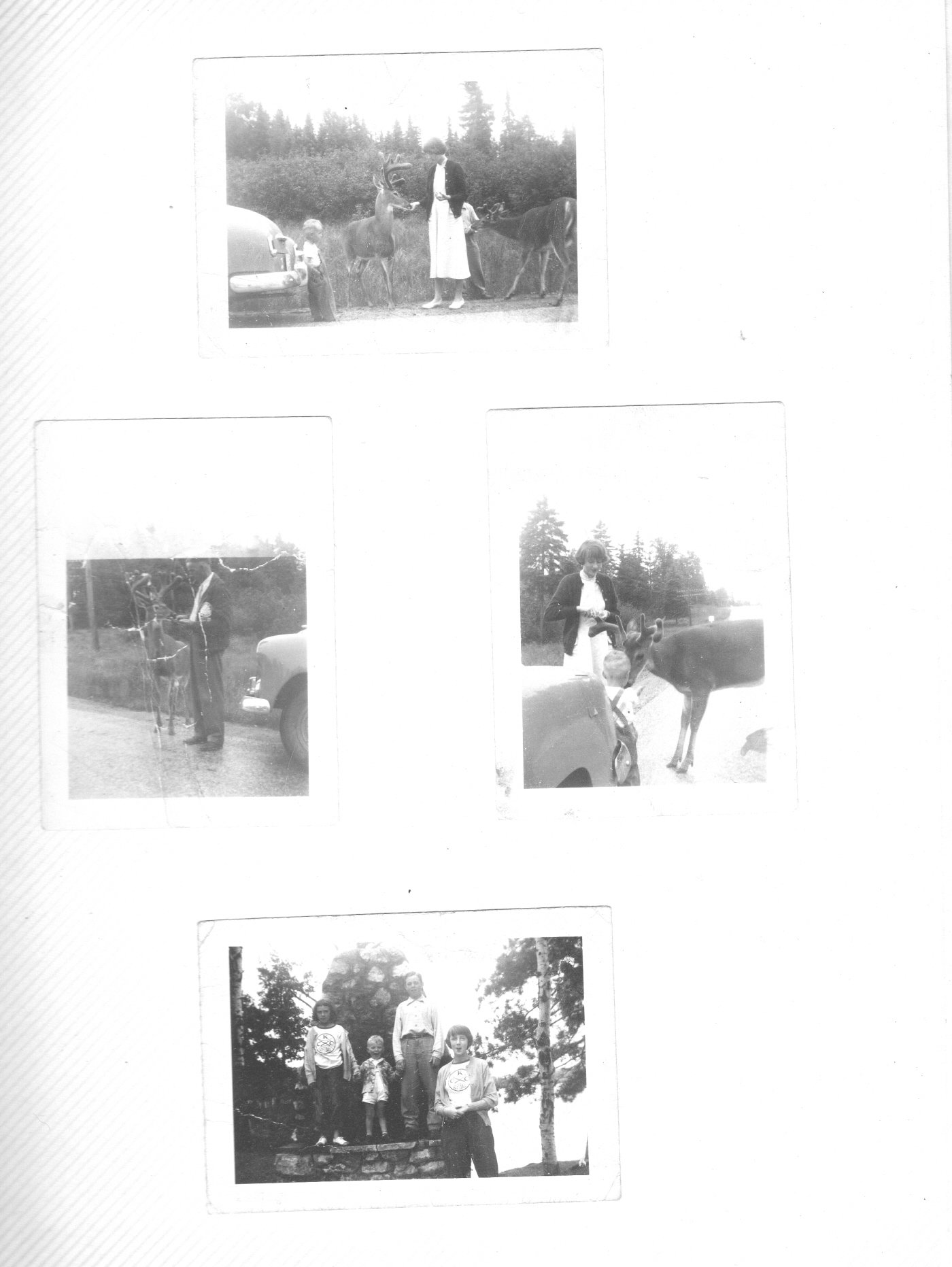 page_28.jpg