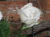 img_0168_small.jpg