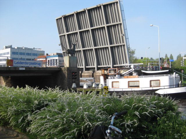 img_0228.jpg