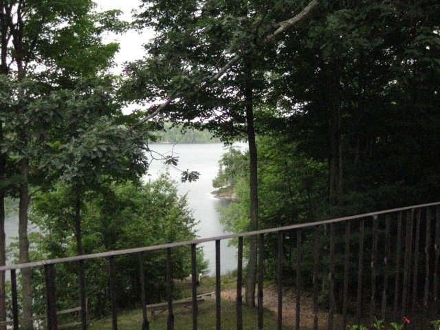img_0381.jpg