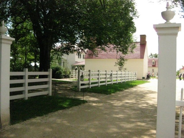 img_0395.jpg