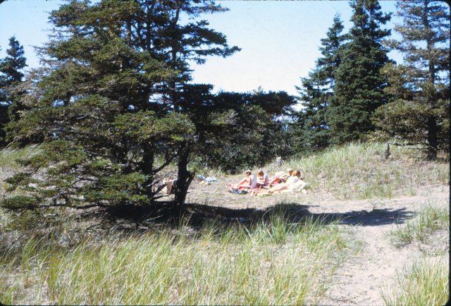 capecrokerpicnic.jpg
