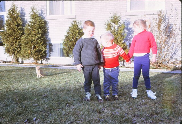 robbjamiejanicepottagevillewithskates.jpg