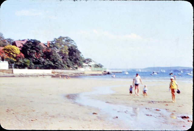 waynejanicerobbdogrosebay2.jpg