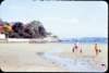 waynejanicerobbdogrosebay2_small.jpg