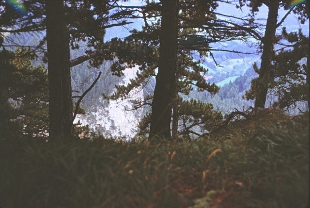 _payerbach_aus_view_from_mouintain2.jpg
