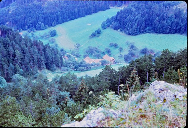 _payerbachviewfromthemountain2.jpg