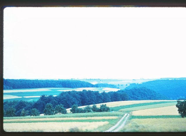 wingcountryside.jpg