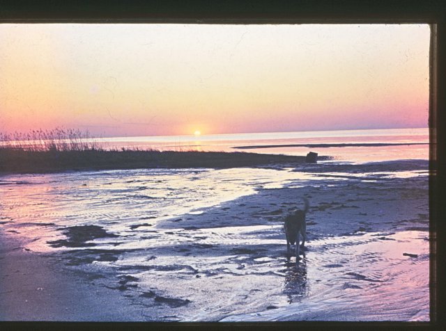 lakewinnipegosiscamping.jpg