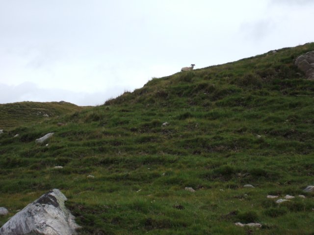 up_the_mountain.jpg
