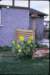 _36devere_dr_backyard_small.jpg