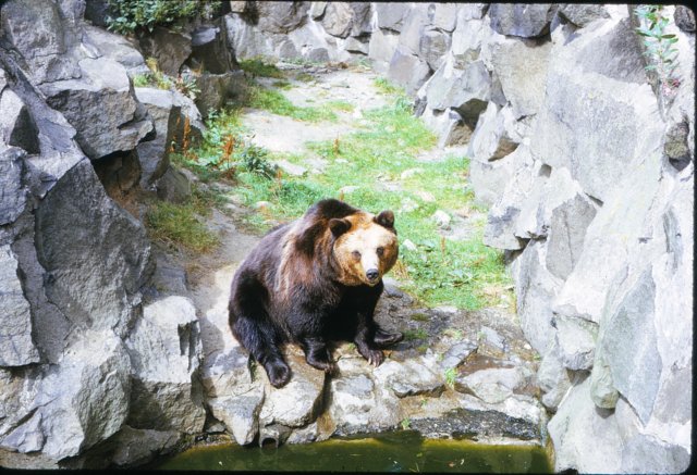 _edinburgh_zoo.jpg