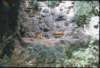 _edinburgh_zoo2_small.jpg