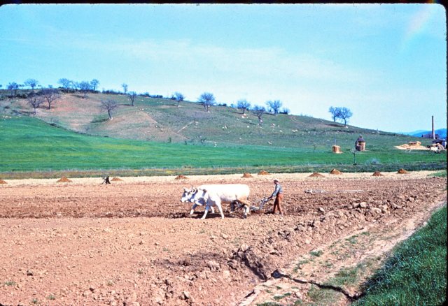 farmshot.jpg