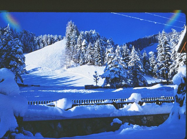sanvigiliosleighride8.jpg