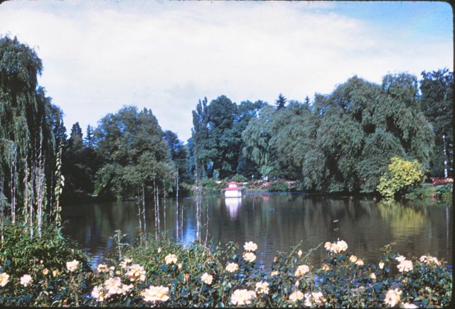 wingrosengarten3zwiebrucken.jpg