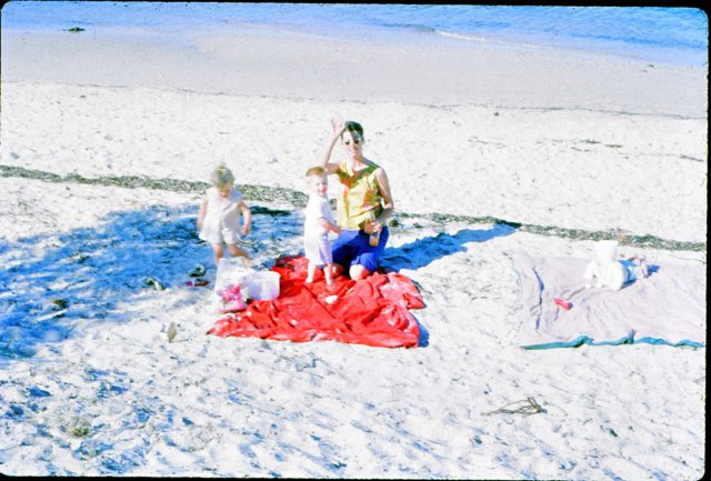 australiaxmasnov64.jpg