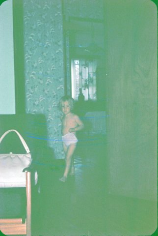 janice1964.jpg
