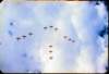 penholdharvardflyby_small.jpg